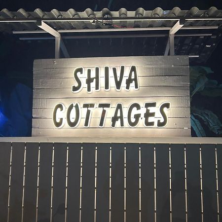 Shiva Cottages Mandrem Exteriör bild